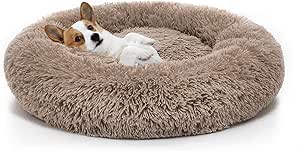 perpets Orthopedic Dog Bed