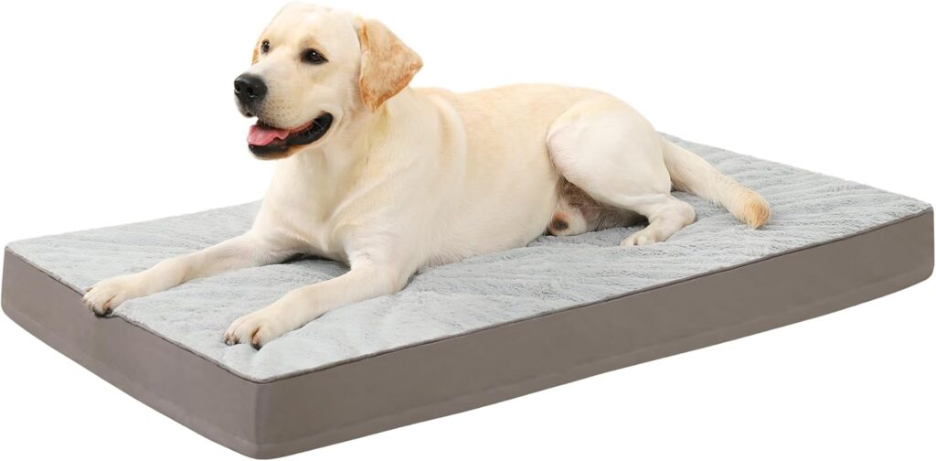 The KSIIA dog bed