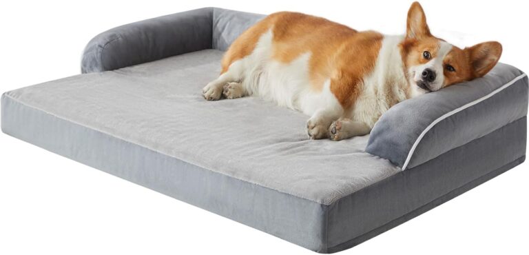 lextro orthopedic bed