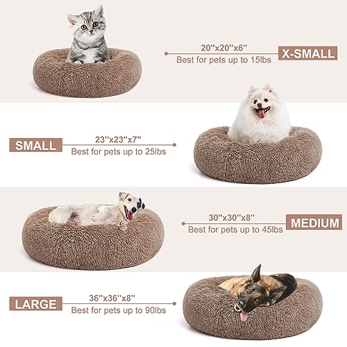 perpets dog beds 