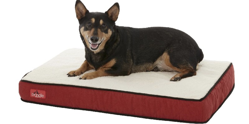 brindle waterproof designer bed