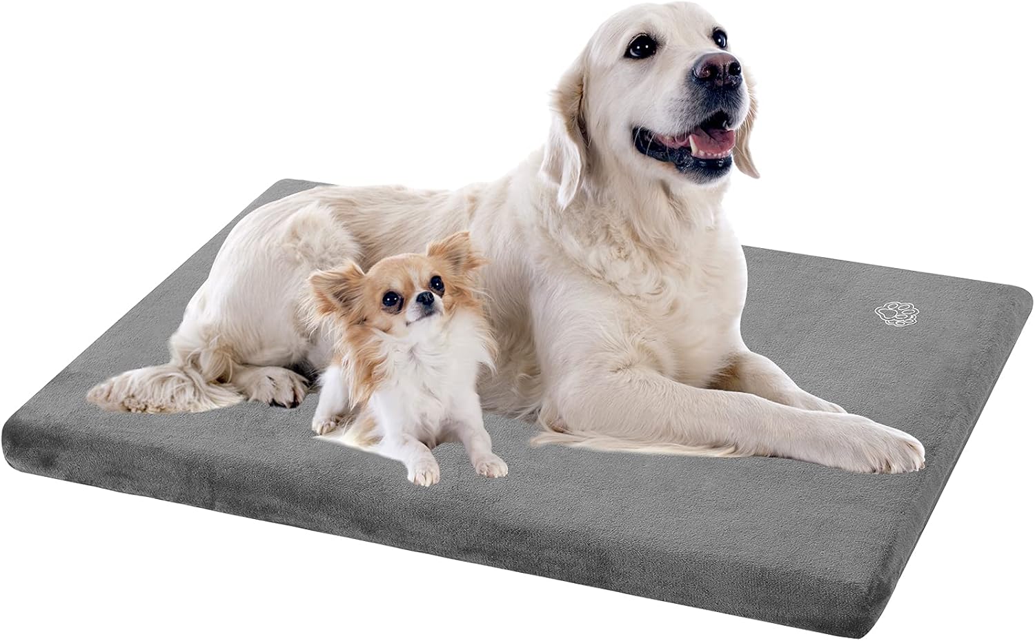 stylish dog bed